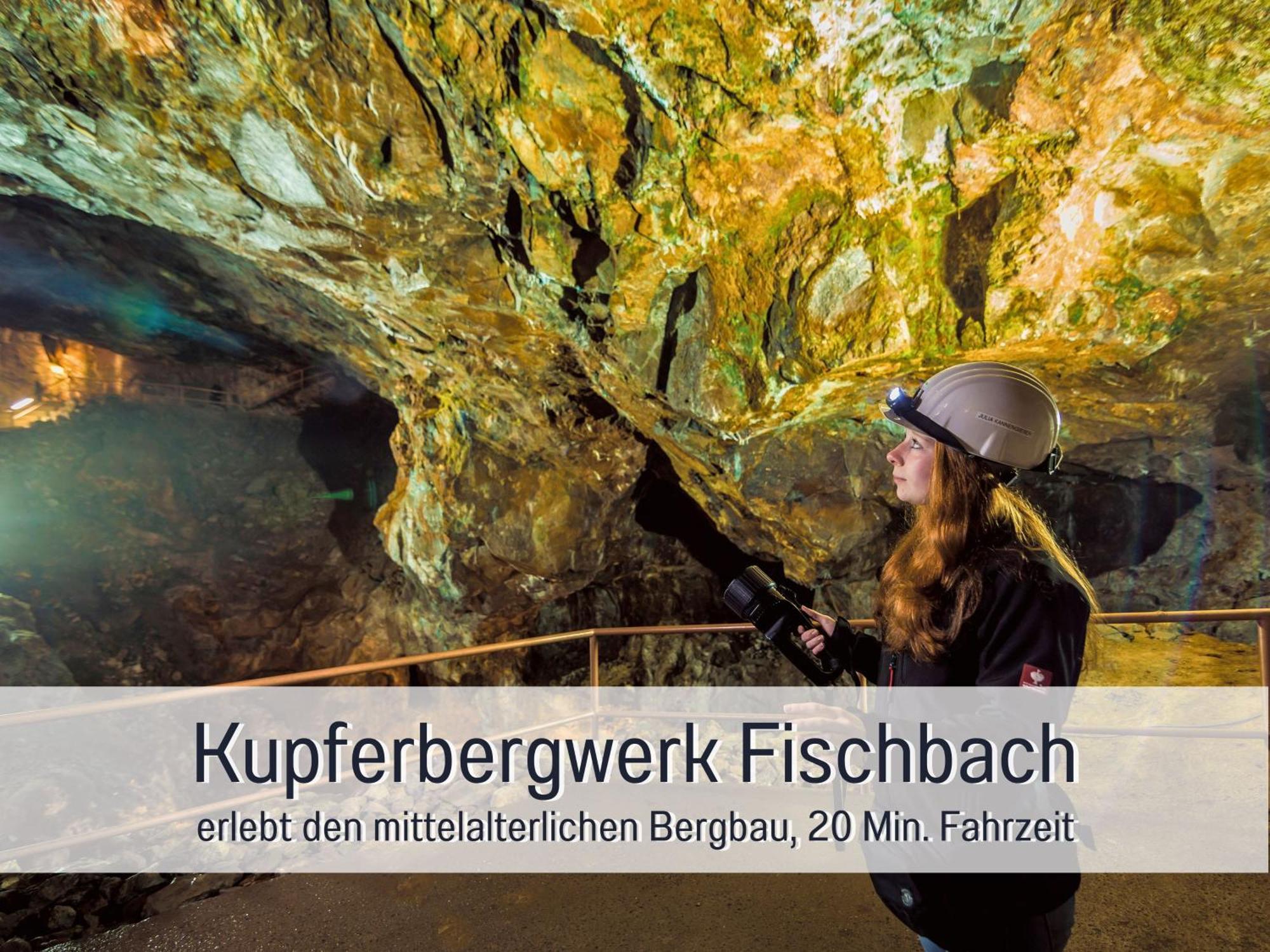 Natur-Chalet Zum Nationalpark Franz Inkl. E-Auto Allenbach Exterior foto